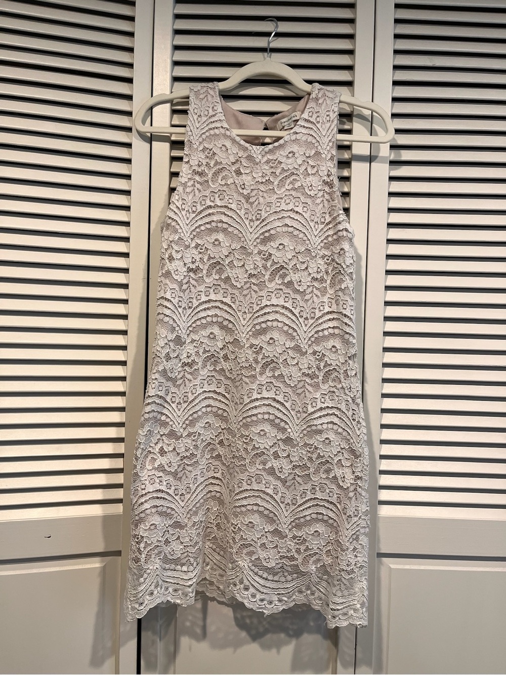 Francesca's Collections Blush and Ivory Lace Mini Dress